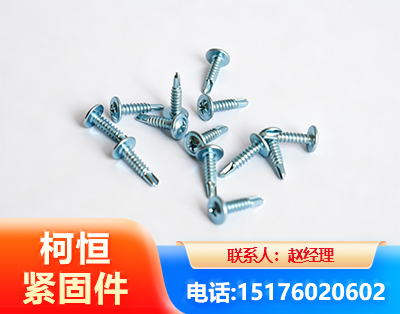 泰州华司钻尾丝