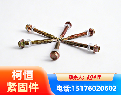 泰州六角钻尾丝